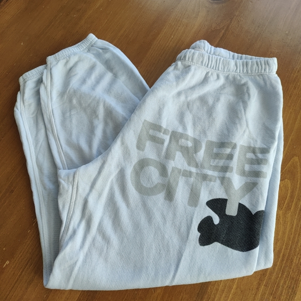 Free City Baby Blue Sweatpants Joggers Size S 113